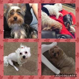 Meet your Posher, Brittny